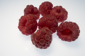 bright colorful raspberry on a white background