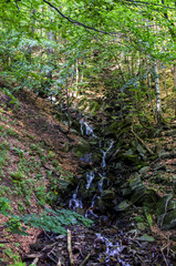 leśny wodospad 