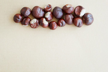 Picture of autumn background with chestnuts with copy space