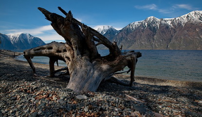 Fototapeta premium Russia. The South Of Western Siberia. Mountain Altai. Late spring on the shore of lake Teletskoye.
