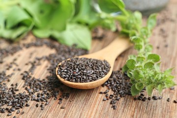 Fresh basil with seed