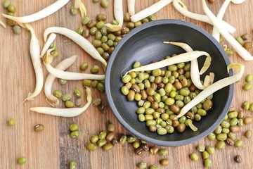 Bean sprouts with seed