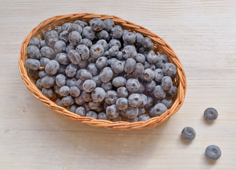 fresh berry - blueberry lies in a wicker basket