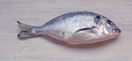 fresh dorado fish lies on a cutting board