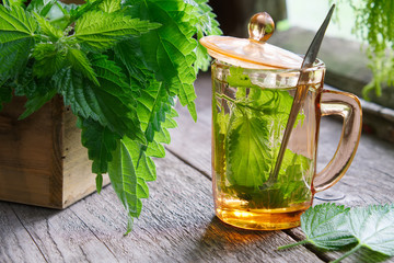 Healthy nettle tea or infusion and nettle herbs on wooden table in retro village house.