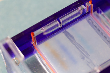 Agarose gel electrophoresis is a method of gel electrophoresis used in biochemistry, molecular...