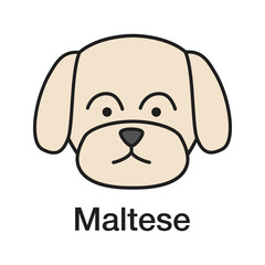 Maltese color icon