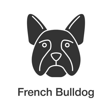French bulldog glyph icon