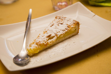 closeup of a slice of grandmother's cake with powdered sugar in white plate with teaspoon