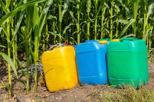 Pesticides in jerry cans next to corn field