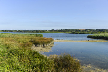 Marais de Curnic, Guissény, 29, Zone natura 2000, Finistère, Bretagne © JAG IMAGES