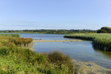Marais de Curnic, Guissény, 29, Zone natura 2000, Finistère, Bretagne © JAG IMAGES