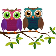 two colorful owls on a branch