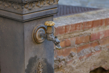 image with detail of a wrought iron fountain