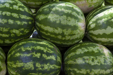 Market counter with delisios watermelons.