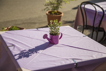 image of restaurant tables with purple tablecloth and decorative plant