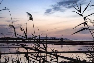 Obraz premium Sea salt flats in Sicily