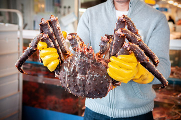 Man hold large Japanese King crab Taraba in hands at Sapporo fish market, Hokkaido