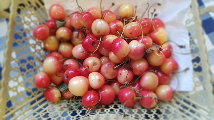 Cherries in a basket