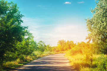 Naklejka premium a country road with green trees and the blue sky near the forest on a bright summer day. countryside. nature. beautiful landscape for design