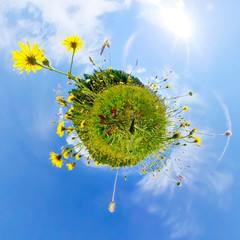 Nature and environment concept. 360 effect on a blooming meadow landscape photo.