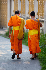 Monks, Chiang Mai, Thailand