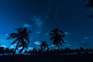 Fototapeta na wymiar Night Sky in the tropics