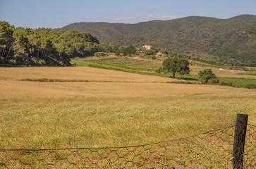 mage of the Tuscan Maremma countryside in Italy in the summer