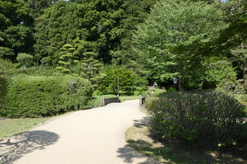自然公園3