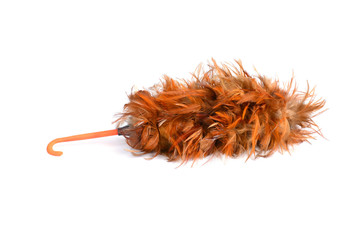 Feather cleaning on isolated white background