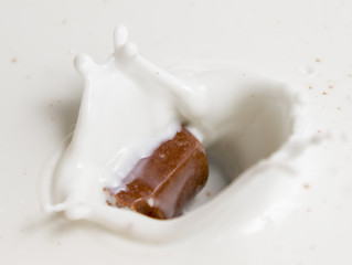 Fototapeta na wymiar Chocolate falls in milk