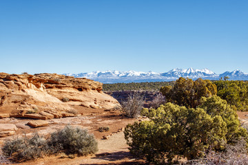 Obraz premium La Sal Mountains As Seen From Canyonlands