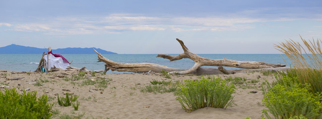 image seascape with vegetation in a wild place with the sea in the background