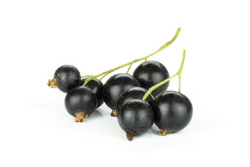 Fresh Raw Black Currant berry isolated on white