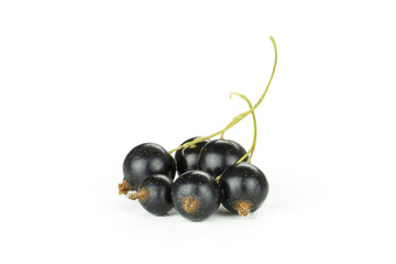 Fresh Raw Black Currant berry isolated on white