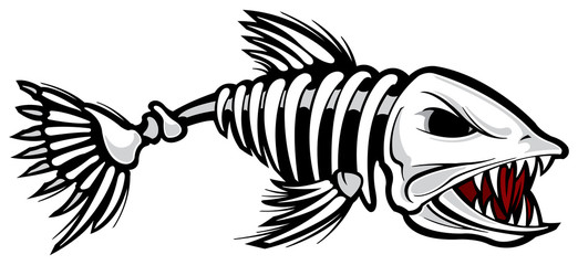 Download Search photos Category Animals > Aquatic and Marine Life ...