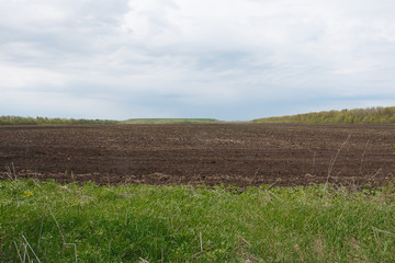 the field is ready for sowing crops