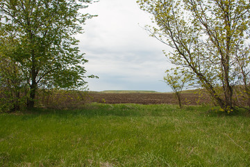 the field is ready for sowing crops