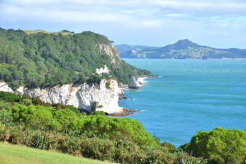 Cathedral Cove Küste in Neuseeland Coromandel