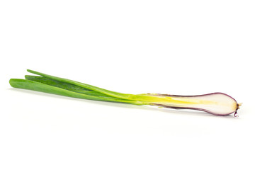 Obraz na płótnie Canvas Fresh Raw green spring onion isolated on white