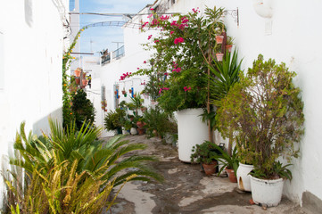 Colorful street with plants and flowers  on sunny day in Vejer white town, Cadiz. Traditional Spanish countryside alley