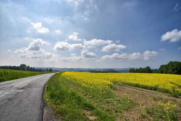 beautiful landscape with fields and mountains in summer