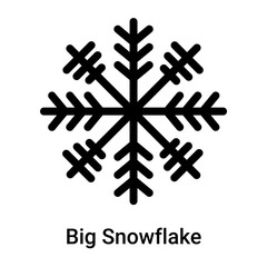 Big Snowflake icon vector sign and symbol isolated on white background, Big Snowflake logo concept