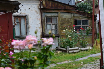 Obraz premium Sweet home