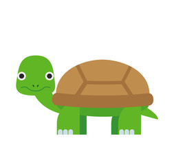 cute cartoon turtle in flat style on white background