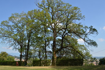 natura