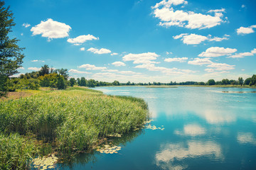 Fototapeta na wymiar View of the calm lake in summer