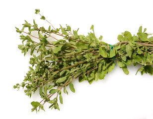 Majoran, Origanum, majorana,