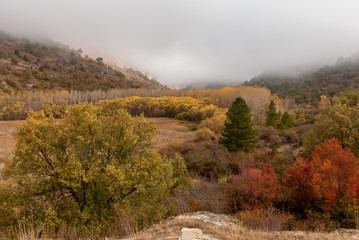 Autumnal landscape near U&ntilde;a in Cuenca, Spain