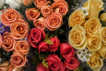 Ramos de rosas de diferentes colores